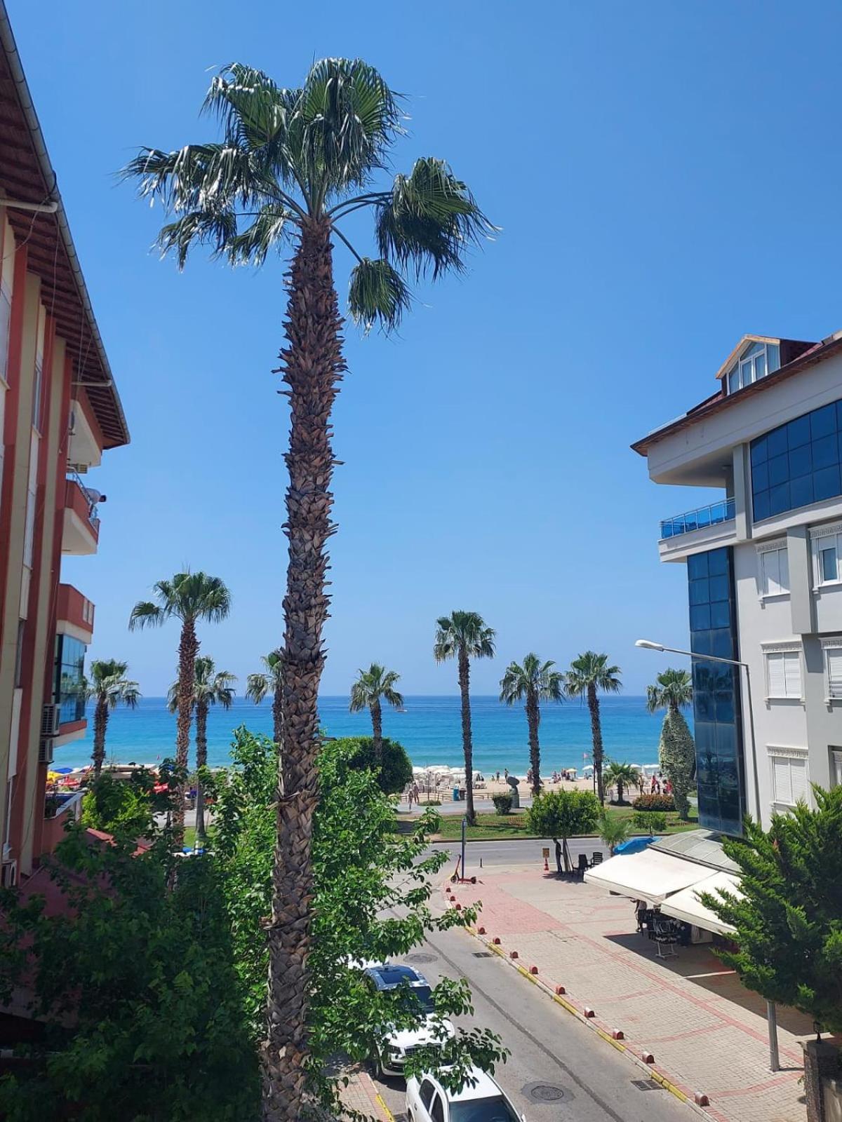 Kleopatra Sahara Hotel Alanya Eksteriør billede